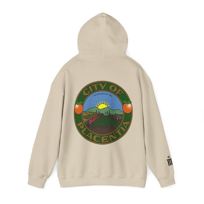 P-Town Seal Hoodie