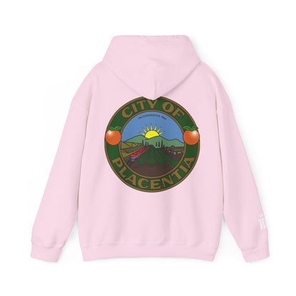 P-Town Seal Hoodie