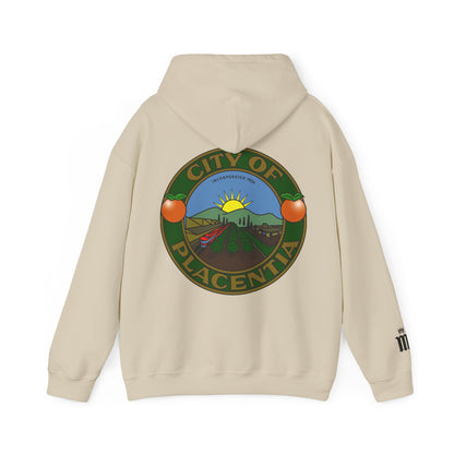 P-Town Seal Hoodie